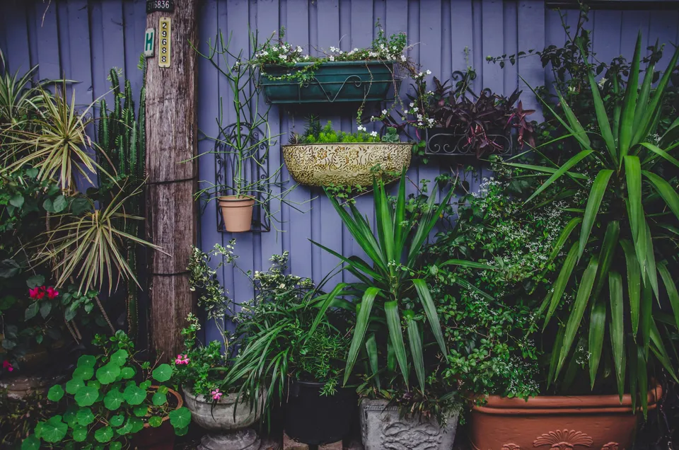 Vertical Gardens - Transform Your Home with More Greenery and Freshness