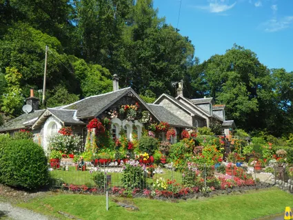 How to Decorate Your Garden with Plants for a Healthier and More Beautiful Space